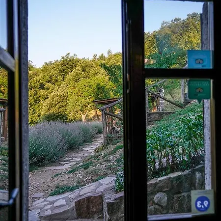 Agriturismo La Colombella *