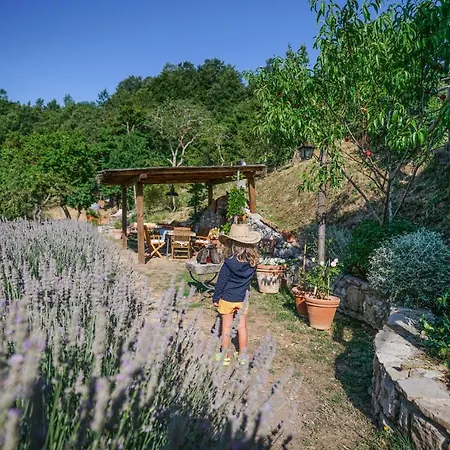 Agriturismo La Colombella Bed & Breakfast Bagni San Filippo