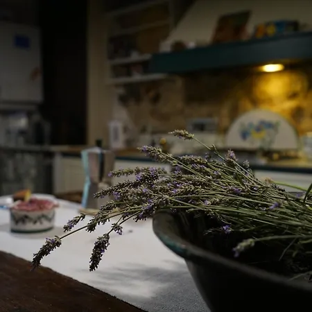 Agriturismo La Colombella Bed & Breakfast *
