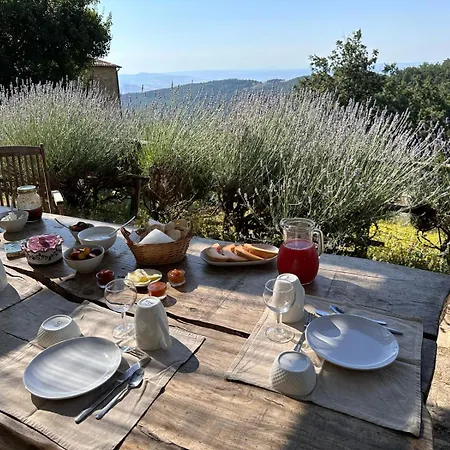 Agriturismo La Colombella Bed & Breakfast