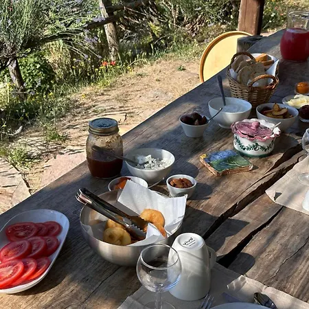 Agriturismo La Colombella Bed & Breakfast *