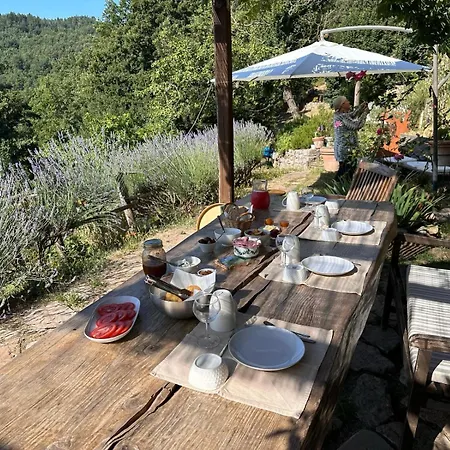 Agriturismo La Colombella Bagni San Filippo